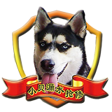 小贝漏水抢修官网